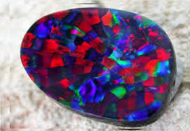 Harlequin opal reference photograph